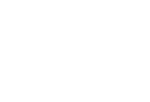 NS2026_Partners_01_Logo-Purin