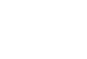 NS2026_Partners_02_Logo-the-Japan-Foundation