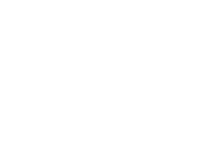 NS2026_Partners_09a_Institut-Francais_Ambassade