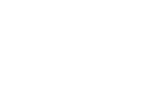 NS2026_Partners_10_Thai-Film-Archive